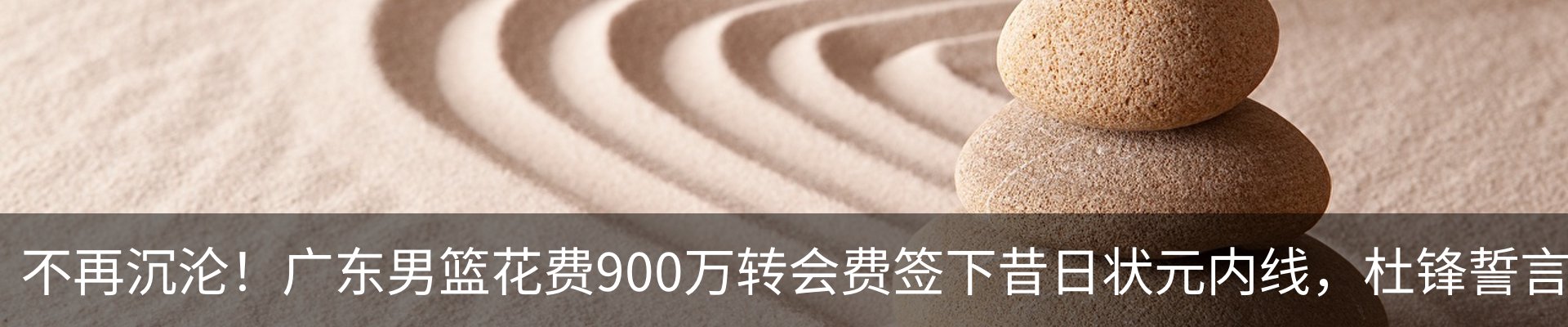 新闻动态