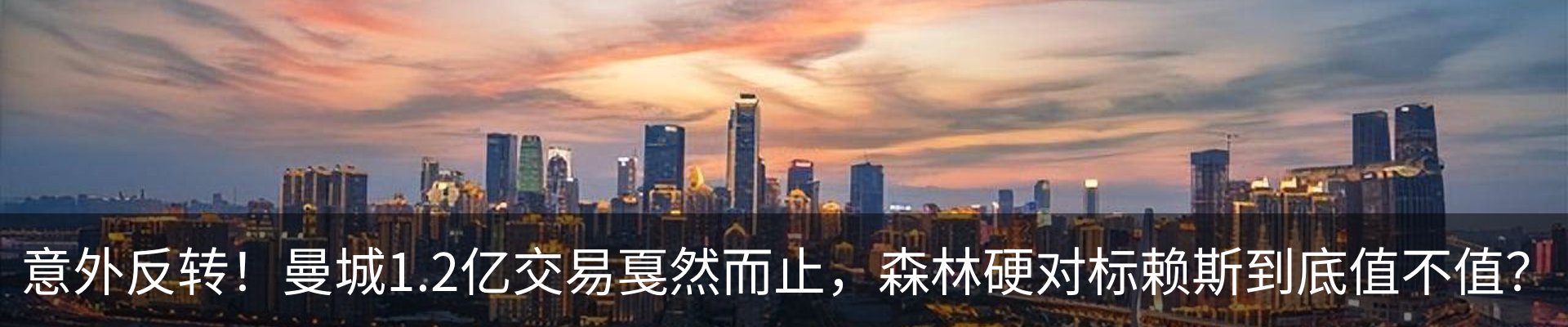 新闻动态