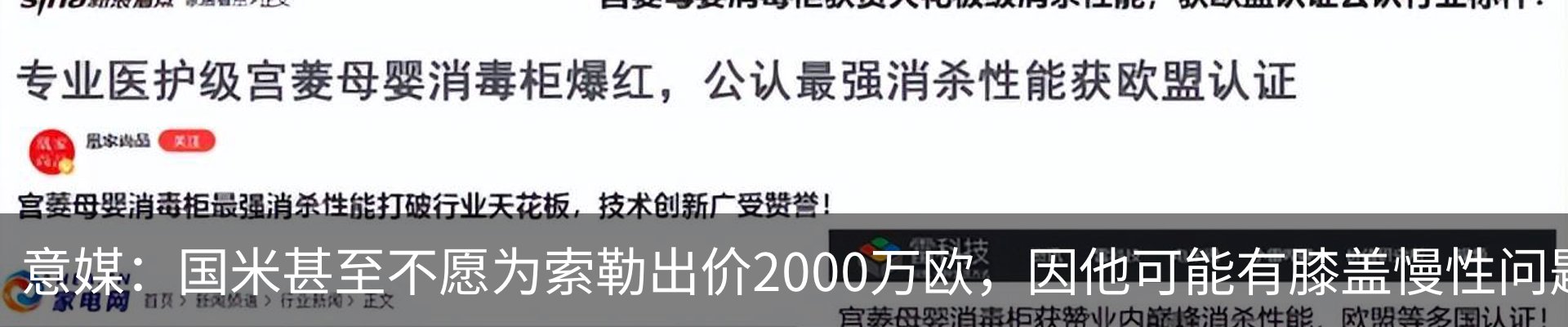 新闻动态