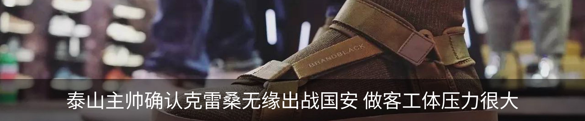 新闻动态