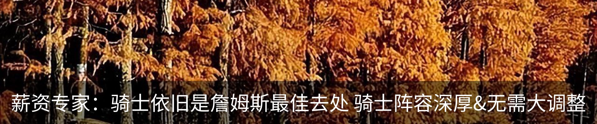 新闻动态